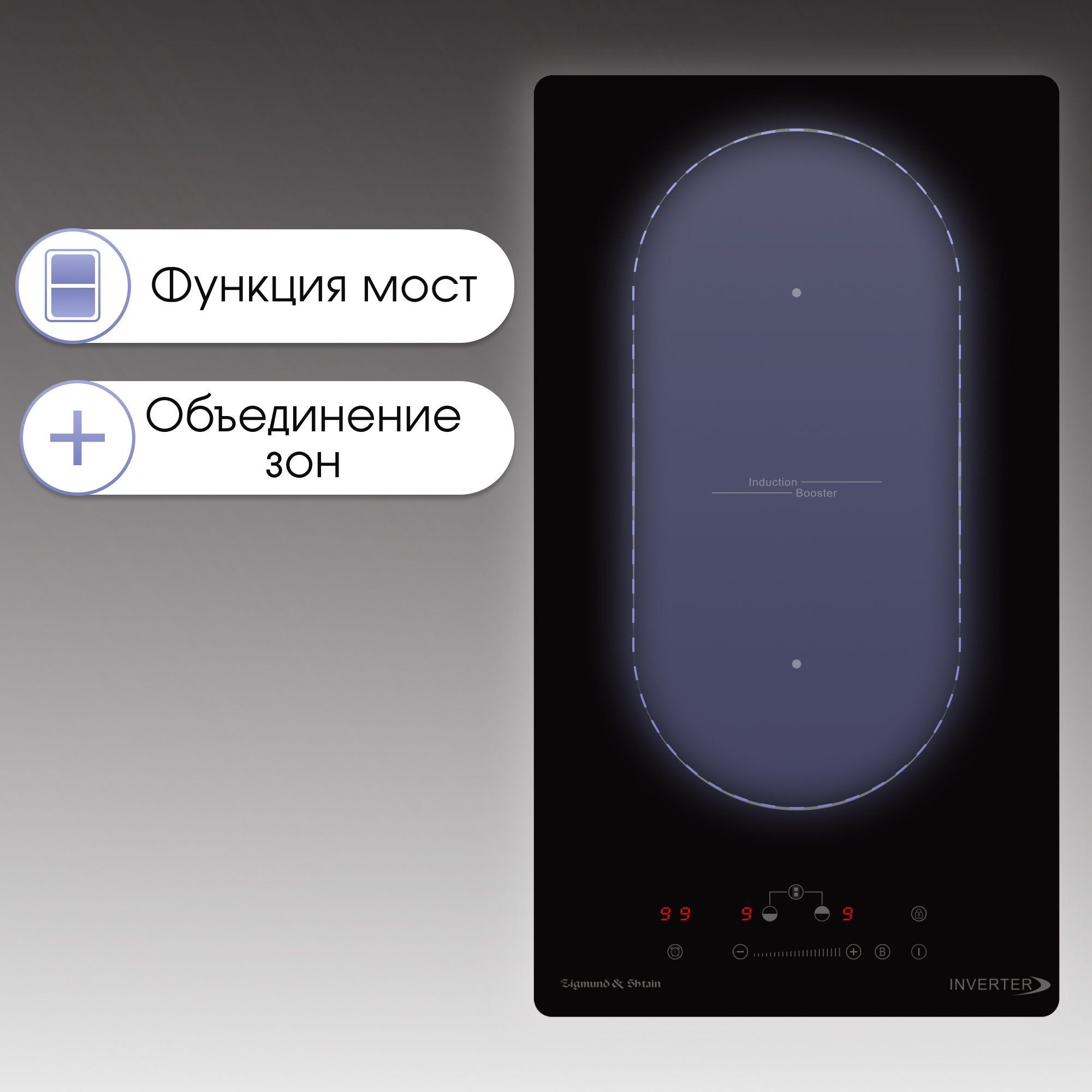 Zigmund & Shtain CI 29.3 B