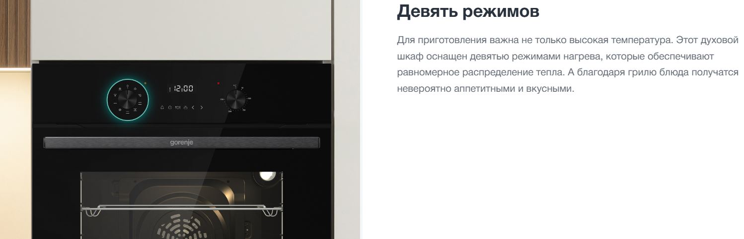 Gorenje BO6737E01ATBGN