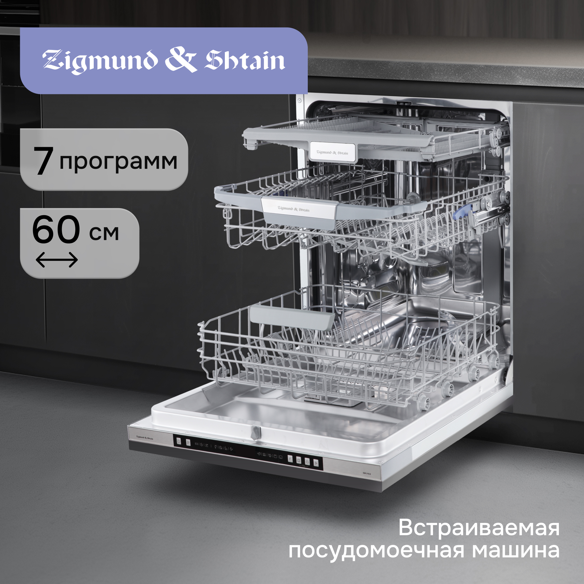 Zigmund & Shtain DW 310.6