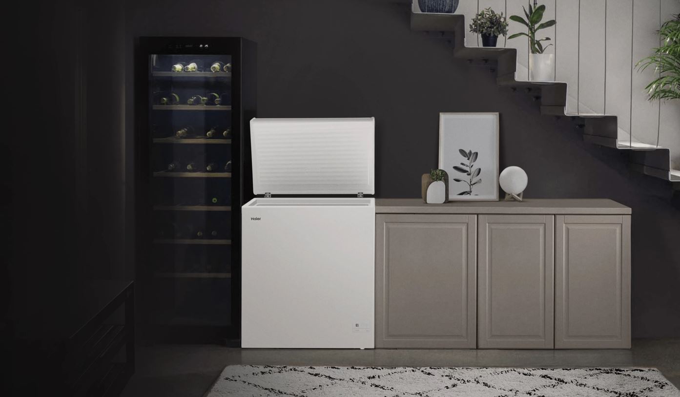 Haier HCE251R