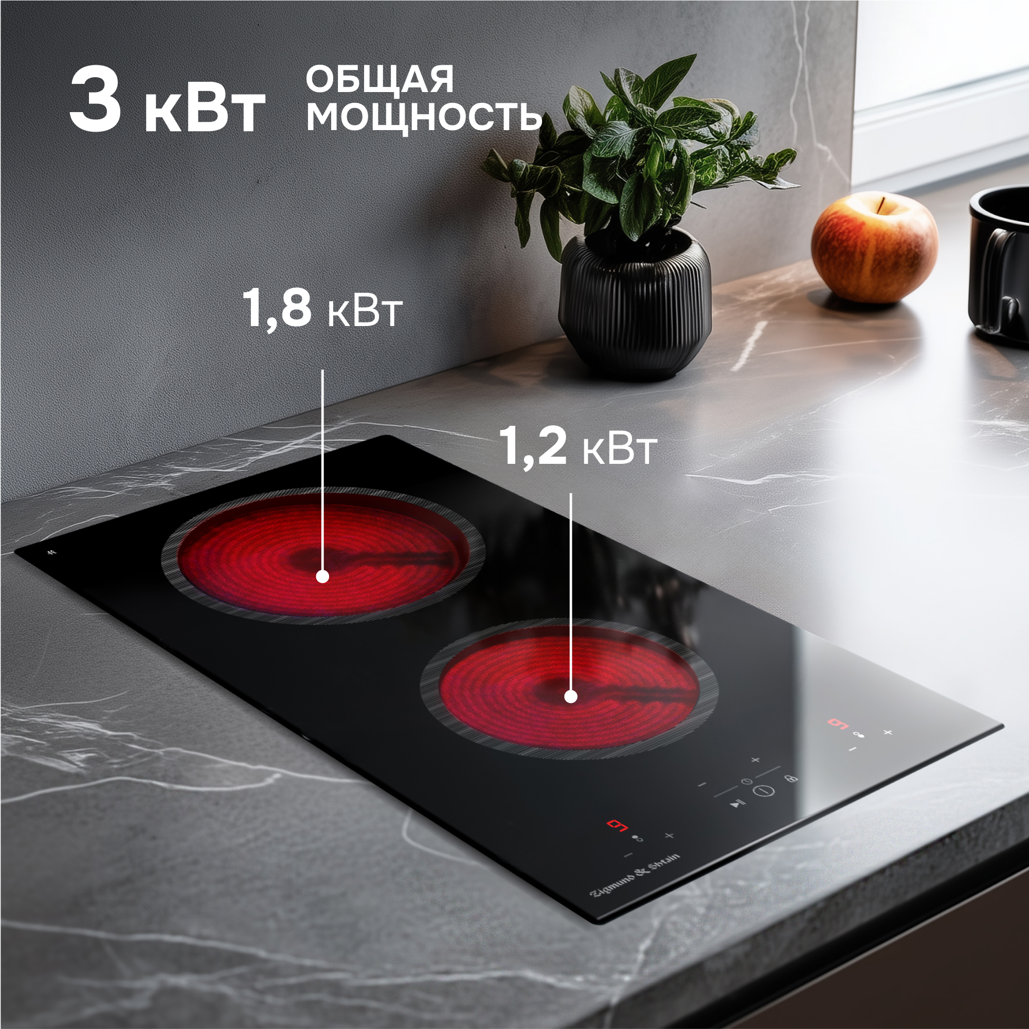 Zigmund & Shtain CN 41.3 B