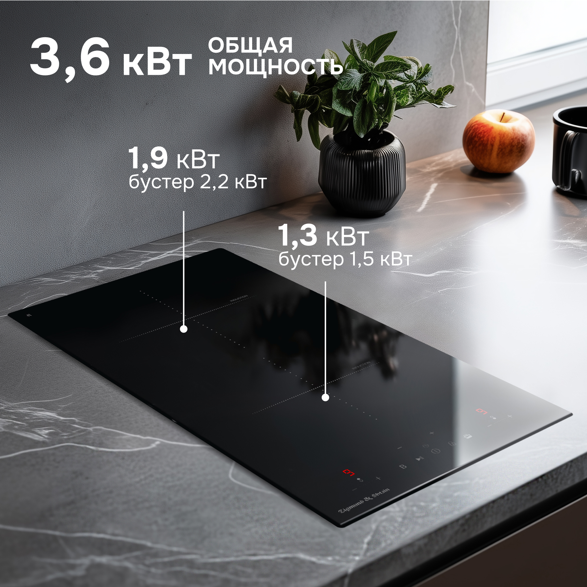 Zigmund & Shtain CI 22.3 B