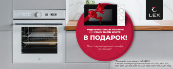 Соло СВЧ LEX в подарок_2025