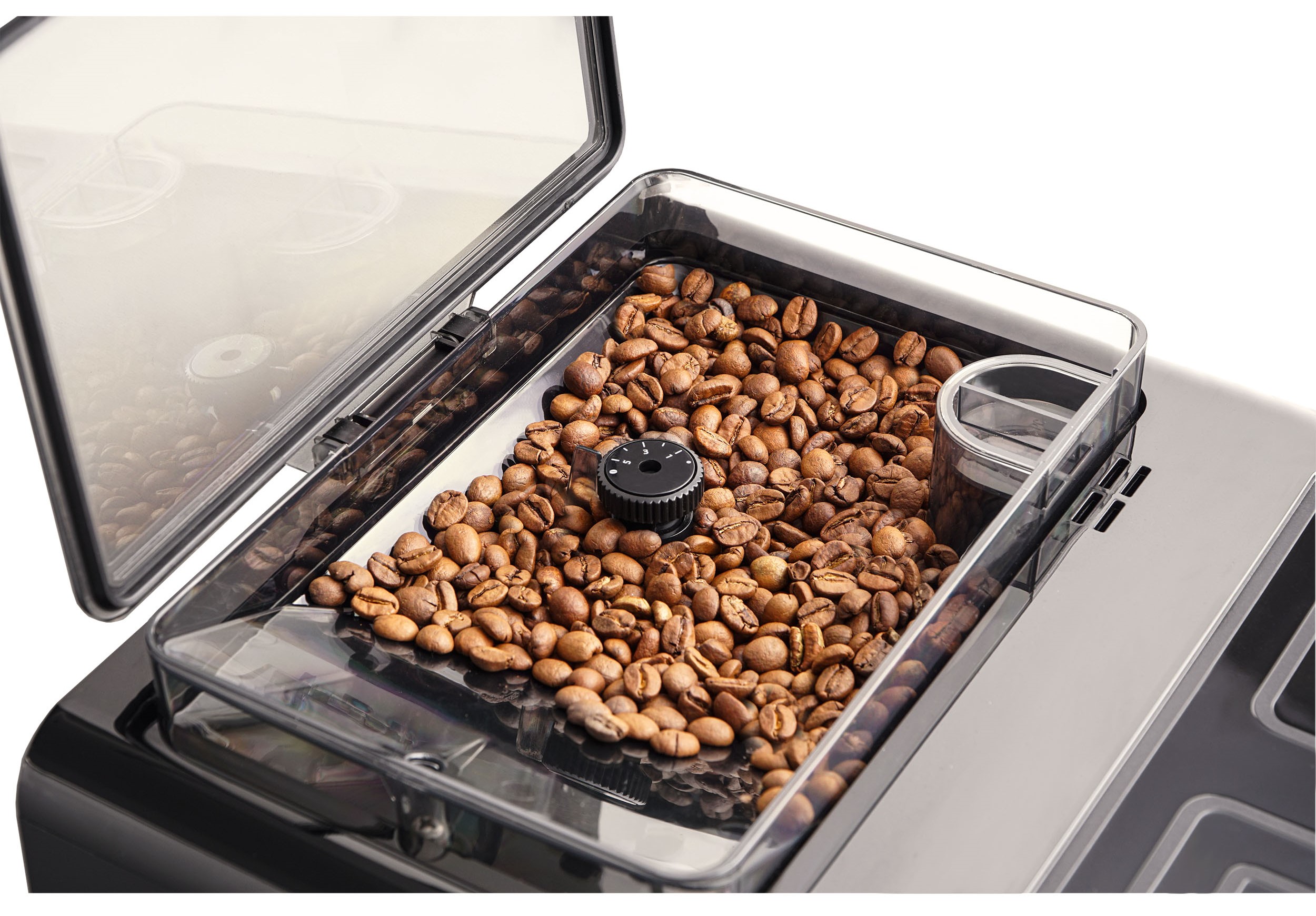 Evelux EACM 2007 Vivo