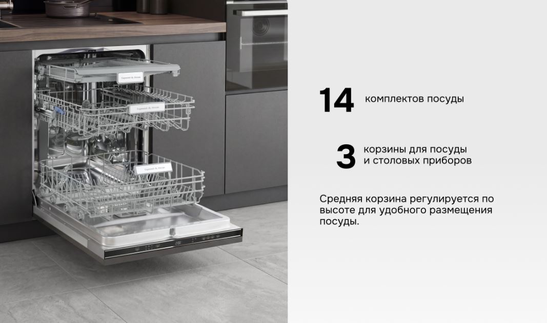Zigmund & Shtain DW 313.6