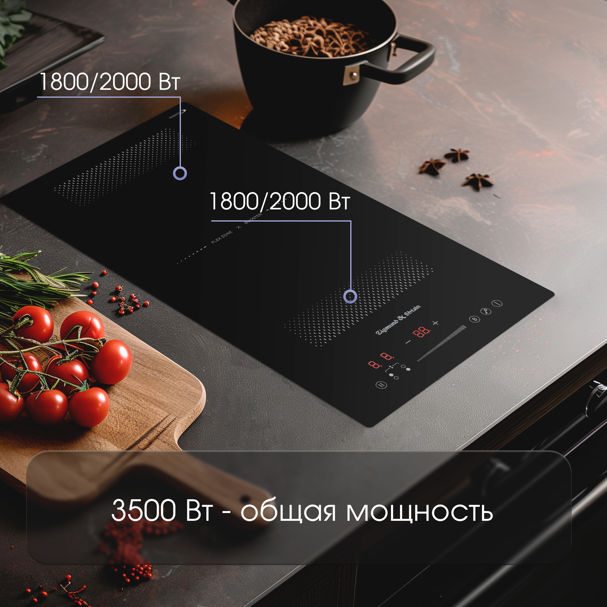 Zigmund & Shtain CI 61.3 B